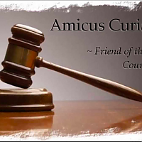 Amicus Curiae: Ana Pirtskhalashvili on Foreign Influence Transparency Lawsuits