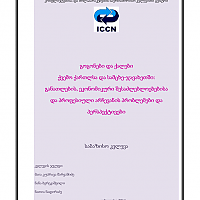 ქალთა და გოგონათა პროფესიული არჩევანის პრობლემებისა და პერსპექტივების კვლევა