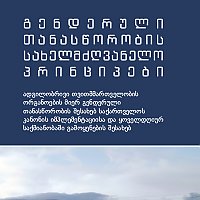 გენდერული თანასწორობის სახელმძღვანელო პრინციპები